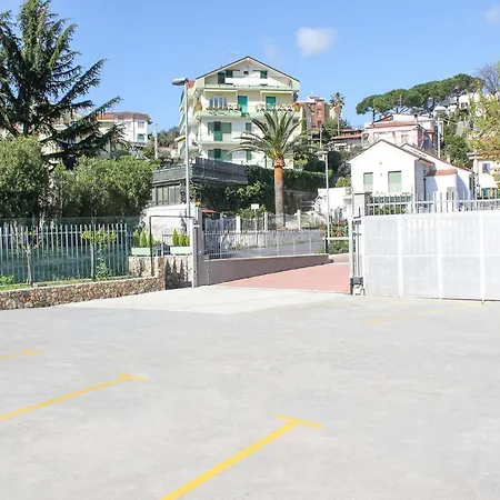 Rosmarino 6